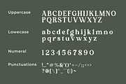 Elmaris, a Serif Font by Zafiratype (Thumbnail 13 of 15)