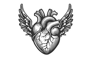 Heart with Wings tattoo vector, an Illustration by AlexArt