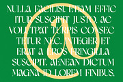 Moves Cabse Modern Display Serif, a Serif Font by timelesstype.co (Thumbnail 12 of 20)