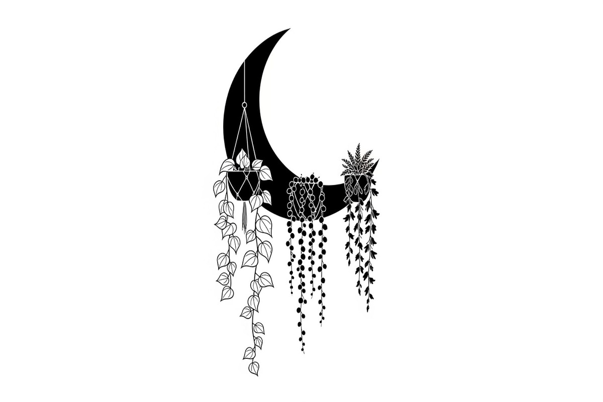 Hanging Moon with Plants Bundle, an Illustration by Designs_River (Photo 13 of 31)