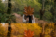 Autumn Lightroom Presets, a Preset Add-On by Oak Digital Studios (Thumbnail 5 of 12)