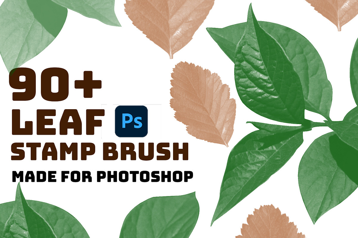Leaf brush stamps Photoshop, a Brush Add-On by Chipshpow Graphics (Photo 1 of 8)