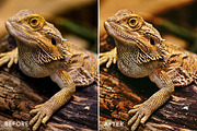 HDR PRO Photoshop Actions, an Action Add-On by FilterGrade (Thumbnail 4 of 8)