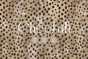 Cheetah Fur Print Seamless Pattern, a Pattern Graphic by Talip Memis (Thumbnail 1 of 11)