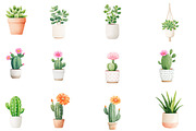 Watercolor succulent cactus clipart, an Illustration by Designworld (Thumbnail 4 of 5)