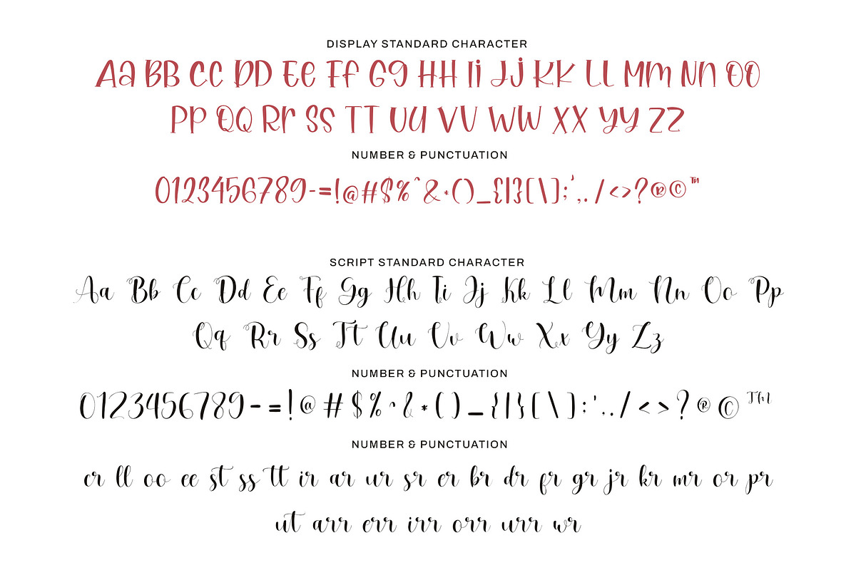 Rachel Laura, a Font by MC Creative (Photo 9 of 10)