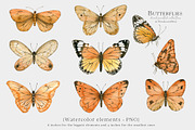 Watercolor Butterfly Clipart, an Illustration by Ksenia Shmakova (Thumbnail 2 of 10)