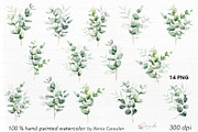 Eucalyptus Watercolor, an Object Illustration by CaraulanStore (Thumbnail 2 of 19)