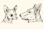 Hand Drawn Portraits of Animals, an Animal Illustration by Artspace (Thumbnail 3 of 4)