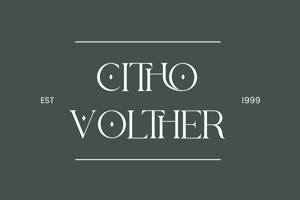 Thoca -New Modern Typface, a Serif Font by AnnofaType (Photo 2 of 8)