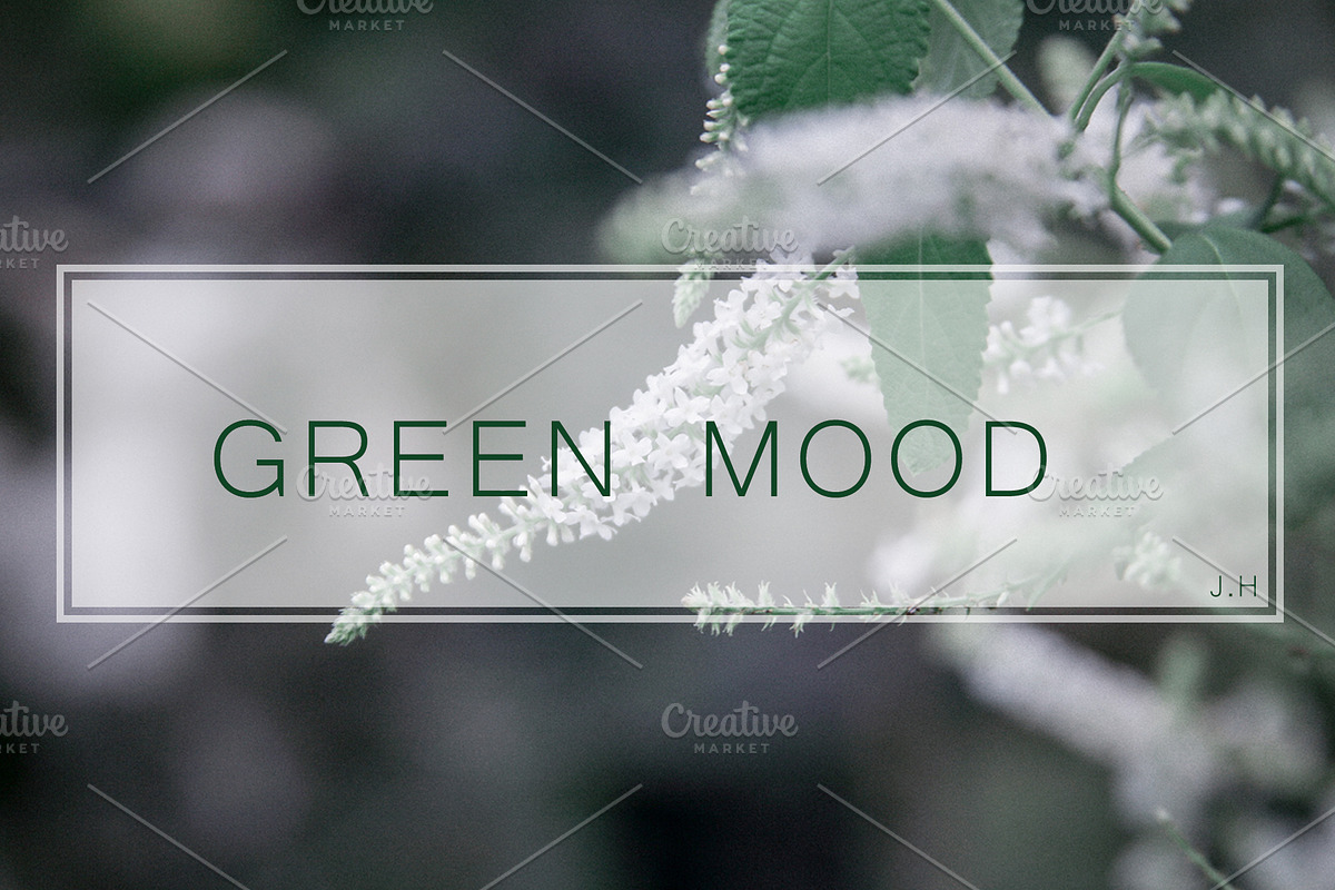 GREENMOOD Inspired Lightroom Preset, an Action Add-On by J.Hermawan Photography (Photo 1 of 3)