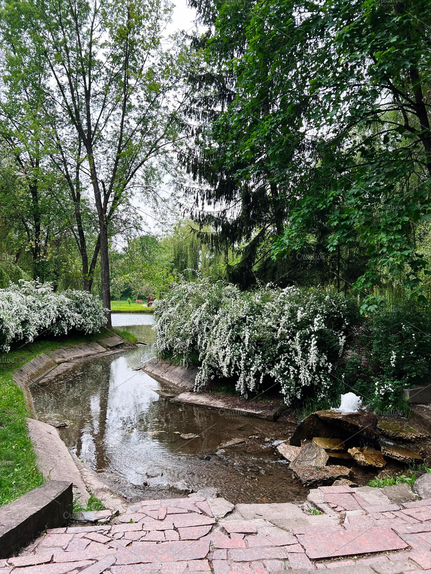 Scenic park landscape with stream surrounded by lush green trees and shrubs, a Photo by AS photostudio