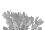 Crocus violet, an Environmental 3D Model by AndrewWhite (Thumbnail 7 of 9)