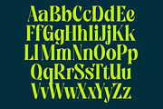Zefta Bold Tall Modern Serif Font, a Serif Font by timelesstype.co (Thumbnail 18 of 20)