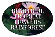 Crainzel - Display Serif Font, a Serif Font by Letterhend Studio (Thumbnail 9 of 9)