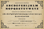 BUSRO - Serif Display Font, a Serif Font by trabaskriya (Thumbnail 7 of 8)