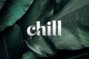 Emirates - Beautiful Curved Font, a Serif Font by Sensatype (Thumbnail 6 of 25)