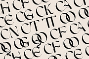 FRENCH CHATEAUX - Chic Display Font, a Sans Serif Font by SilverStag Type Foundry (Thumbnail 22 of 22)