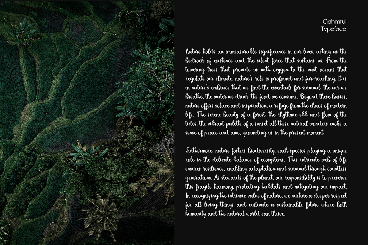 CF Gahmful - Elegant Handwritten, a Handwritten Font by Indotype Foundry (Photo 6 of 10)