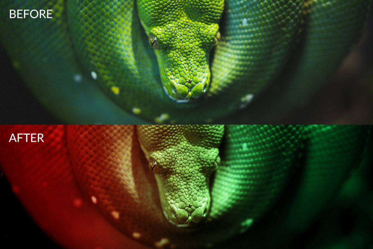 15 Duo Color Photoshop Actions, an Action Add-On by VividFrame (Photo 5 of 7)