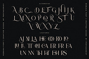 Robuka | Modern Serif Font, a Serif Font by Pentagonistudio (Thumbnail 8 of 9)