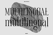 TAN - EGRET, a Serif Font by TanType (Thumbnail 19 of 19)