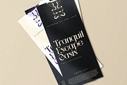 Sanctuary Ornate, a Serif Font by Helotype (Thumbnail 7 of 9)