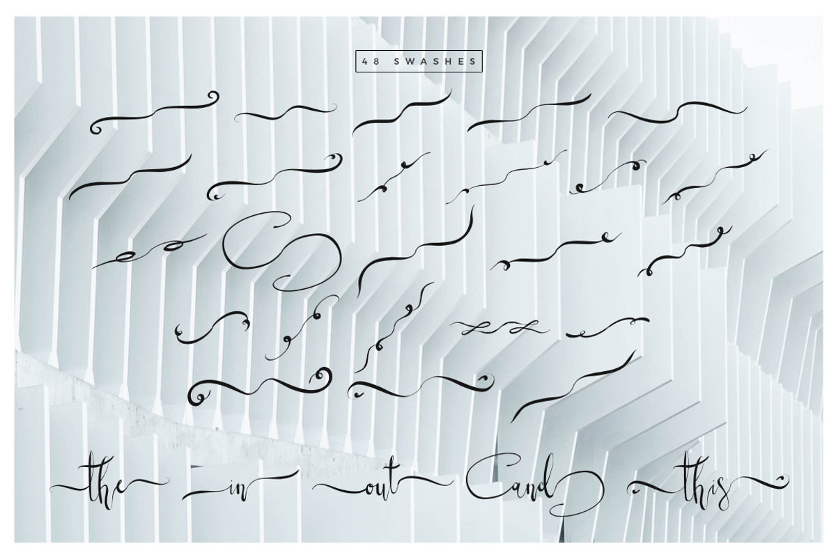 Wonderland Fonts Pack & Branding Kit, a Script Font by Graphicdome (Photo 82 of 118)