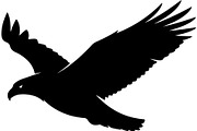 Forest Sky Birds Illustration Vector, an Animal Illustration by Designer_Momina (Thumbnail 10 of 21)