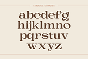 Choga - Modern Luxury Logo Font, a Serif Font by Nirmana Visual (Thumbnail 5 of 15)