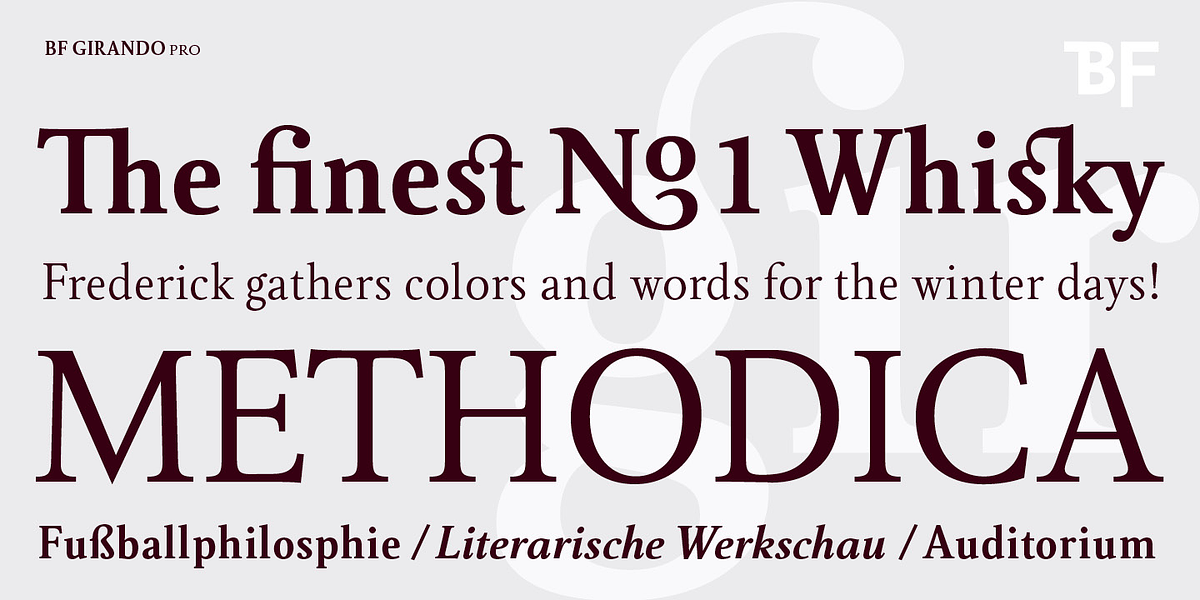 BF Girando Pro, a Serif Font by BrassFonts (Photo 5 of 6)