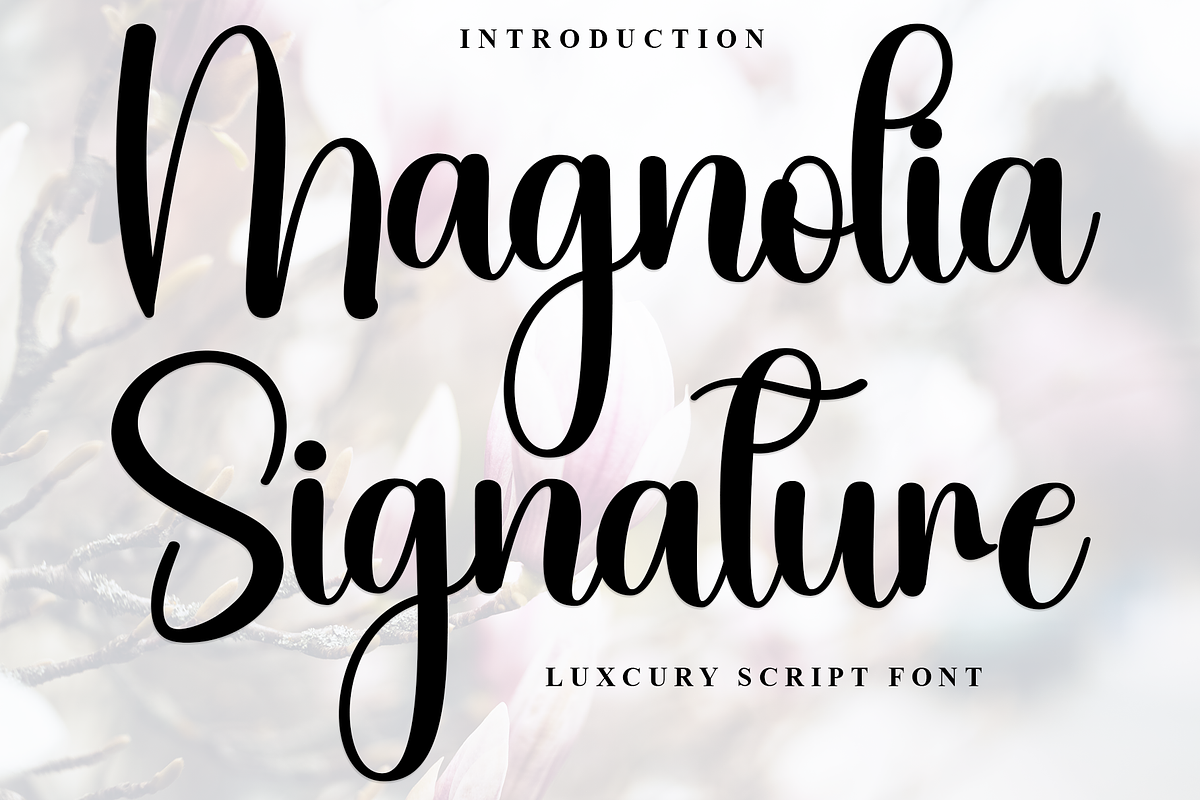 Magnolia Signature, a Handwritten Font by FreshTypeINK (Photo 1 of 8)