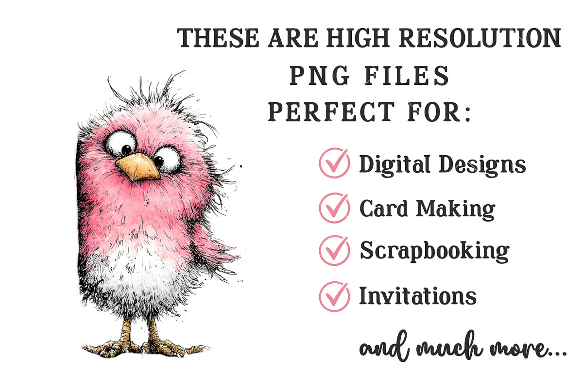 Whimsical Funny Spring Bird Clipart, an Illustration by OK Design (Photo 4 of 6)