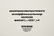 Piqi | Elegant Modern Serif for Luxu, a Font by Astuti Studio (Thumbnail 2 of 16)