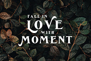 De Ginkgo, a Serif Font by Emyself Design (Thumbnail 13 of 16)