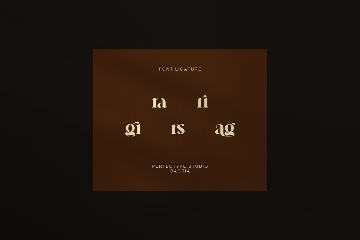 Bagria Elegant Serif Font, a Serif Font by Perfectype (Photo 8 of 8)
