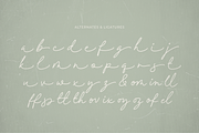 Collins Hearthfield a Script Font, a Handwritten Font by Ainun Jinan (Thumbnail 10 of 11)