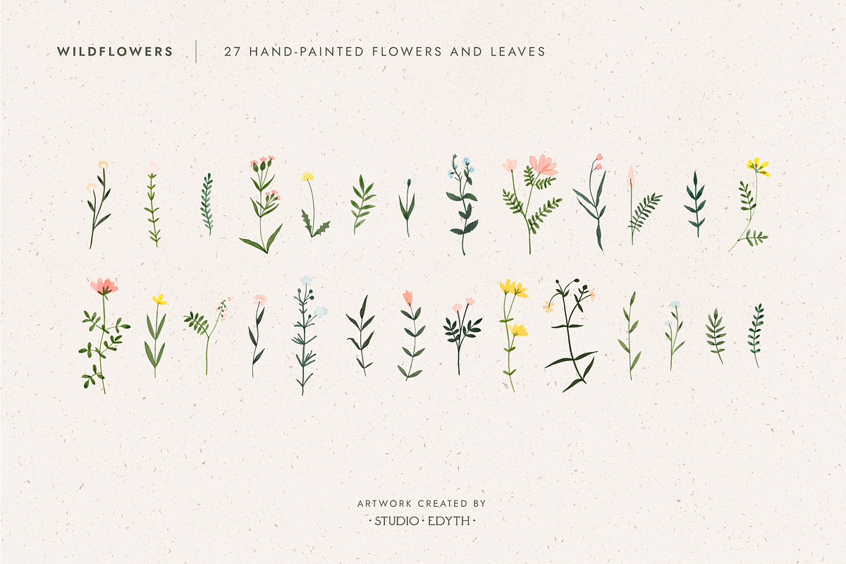 Watercolor Wildflower Bundle, an Illustration by Studio Edyth (Photo 2 of 5)