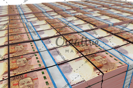 Set of Swaziland Money Banknote, a Font by AhmedZ - Motion Picture