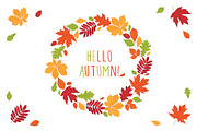 Hand drawn autumn leaves., an Education Illustration by Tkoko vectors & patterns (Thumbnail 11 of 12)