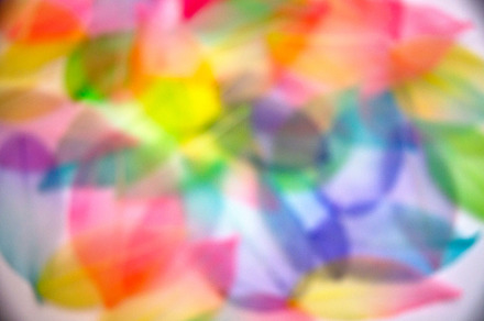 Colored leafs leaf texture pattern containing abstract, art, and background, an Abstract Photo by oksanatukane