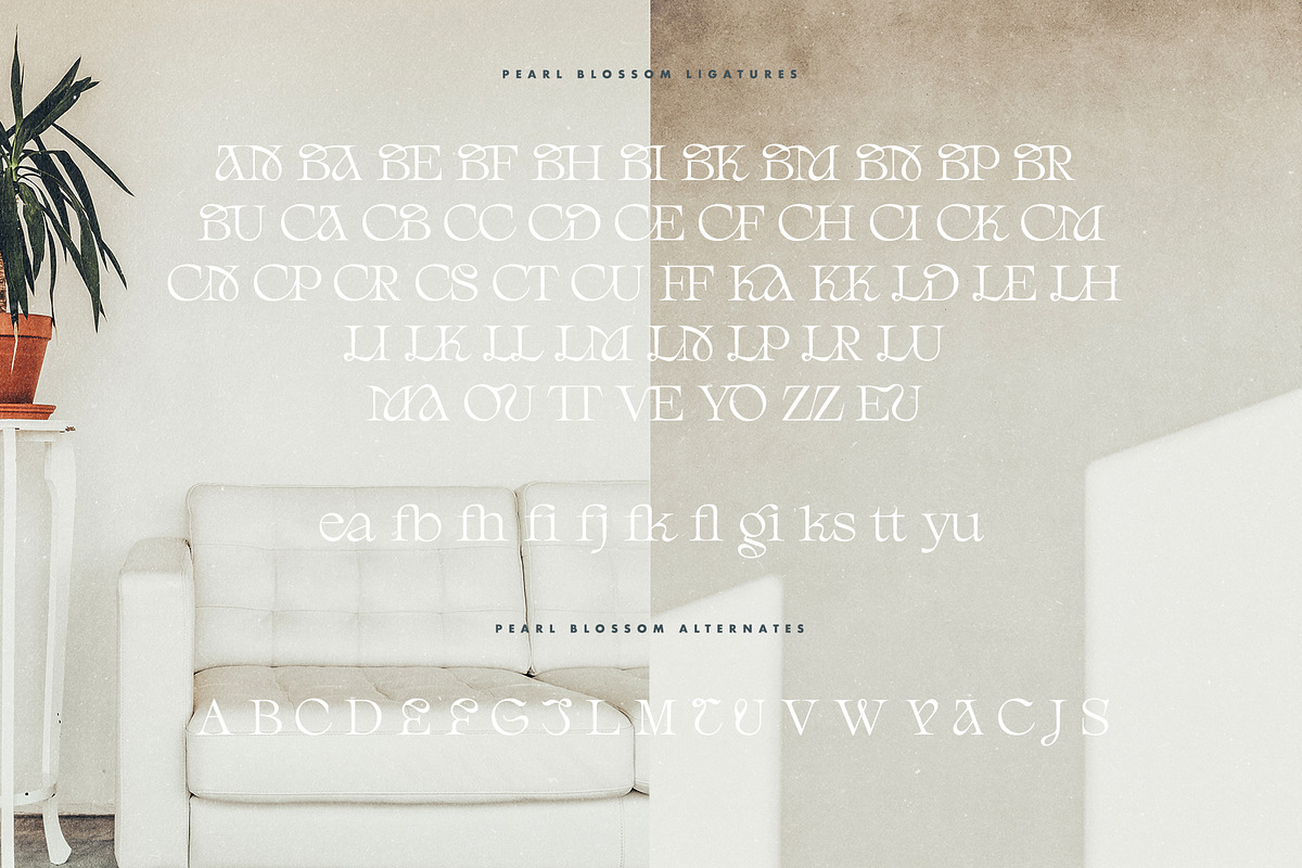 Pearl Blossom - Modern Serif, a Serif Font by Ivan Rosenberg (Photo 20 of 21)