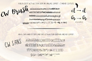 Chicken and Waffles Brush Script, a Script Font by Beck McCormick (Thumbnail 4 of 4)