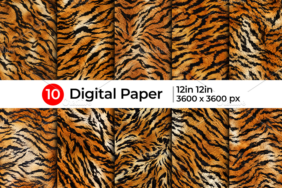 Realistic Tiger Fur Print Texture, a Pattern Graphic by Artonix (Photo 1 of 5)
