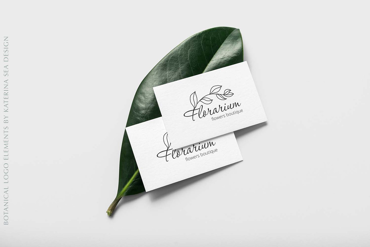 Botanical line art logo elements, a Branding & Logo Template by Katerina.Sea.Design (Photo 11 of 11)