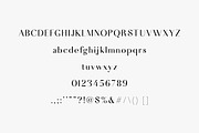 Houston Edition | 100% Relief Aid, a Sans Serif Font by Josh O. (Thumbnail 4 of 6)