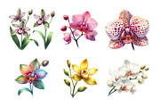 Watercolor Orchid Clipart, an Illustration by Daily.Designs (Thumbnail 4 of 5)