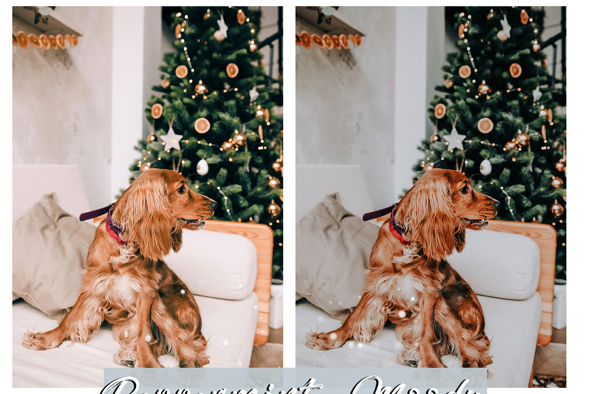 Moody Holiday PEPPERMINT LR Presets, an Action Add-On by CityTurtles (Photo 6 of 7)