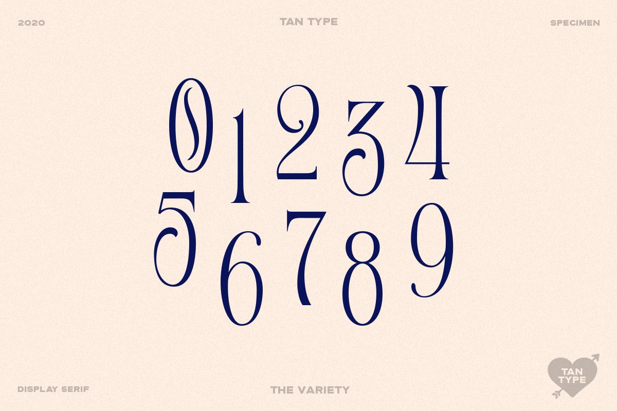 TAN - Variety, a Serif Font by TanType (Photo 20 of 26)