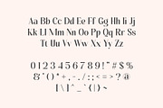 Luxerys - Luxurious Serif Font, a Serif Font by Pikgura (Thumbnail 2 of 8)